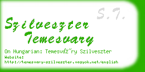 szilveszter temesvary business card